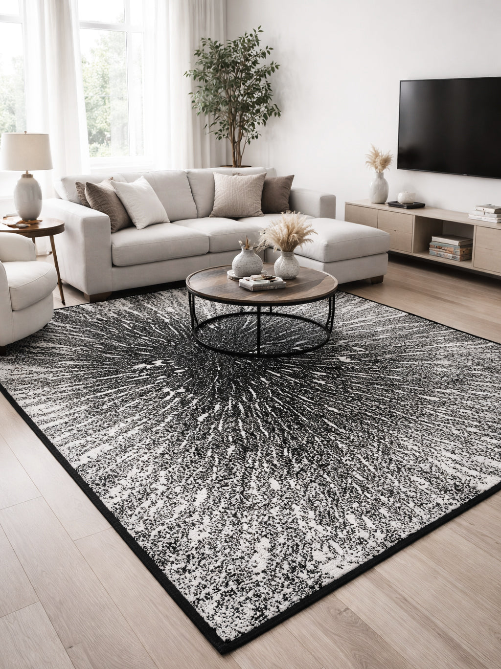 Cosmic Burst Black & White Abstract Designer Rug